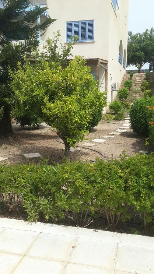 Pelagos Hill Apartment Paphos ภายนอก รูปภาพ