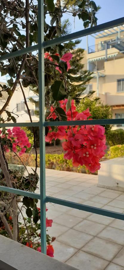 Pelagos Hill Apartment Paphos ภายนอก รูปภาพ